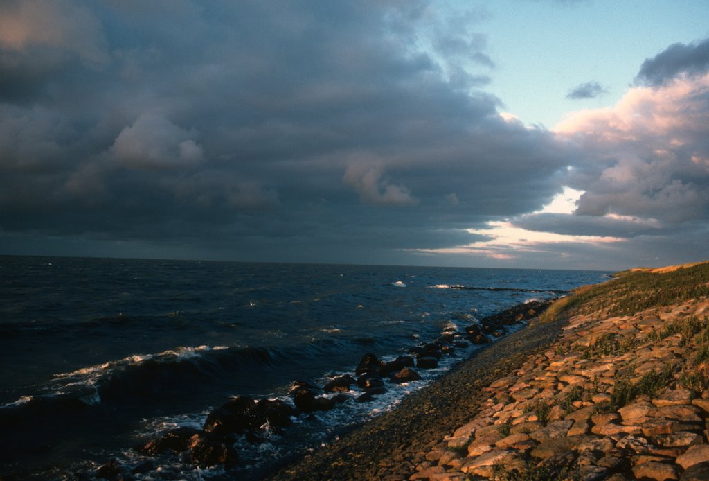 North Sea Coast in the Netherlands